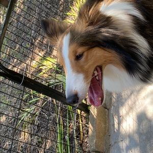 Meet your Posher, Eva